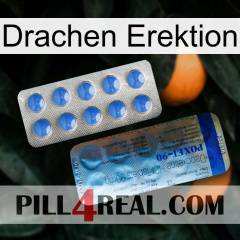 Dragon Erection 40